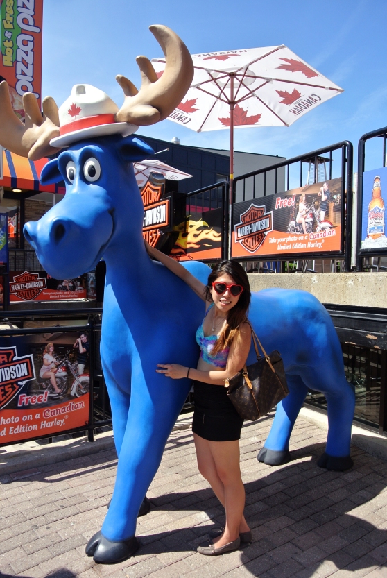 Just being Canadian chilling with the blue moose
