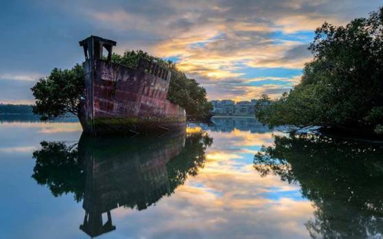 102-Year-Old Abandoned Ship is now a Floating Forest loceted in Homebush Bay, Sydney, Australia