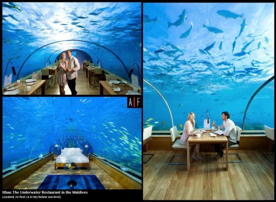 Ithaa - The Underwater Restaurant in the Maldives