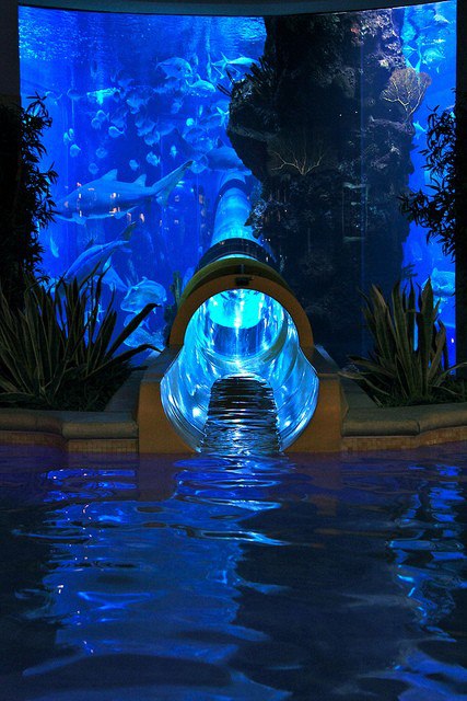 Water Slide through Shark Tank at Golden Nugget in Las Vegas, USA