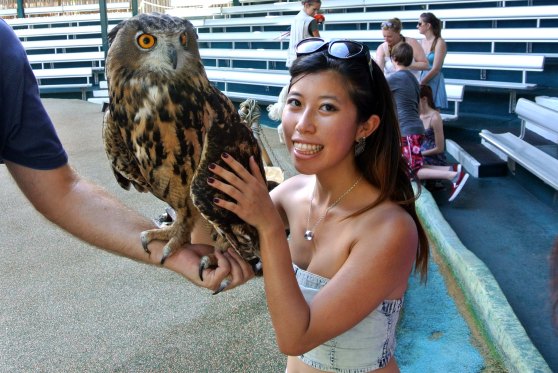 I touched an owl! :D